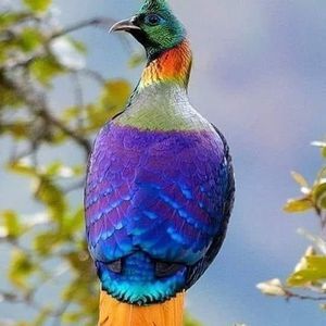 Meet your Posher, Martha